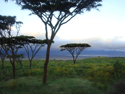 ngorongoro crater safari