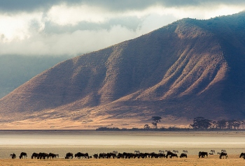 ngorongoro safari Tanzania