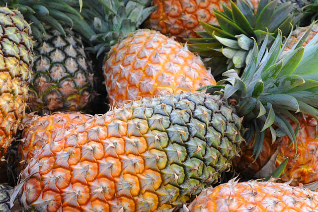 pineapples uganda