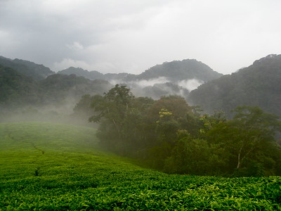 rwanda agritourism