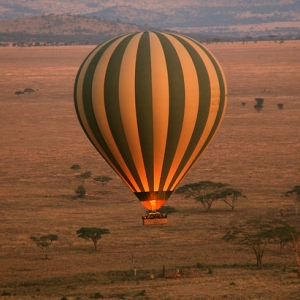 serengeti balloon